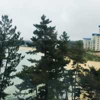 오션뷰가 완벽했던 삼척 쏠비치! #대명리조트 #쏠비치