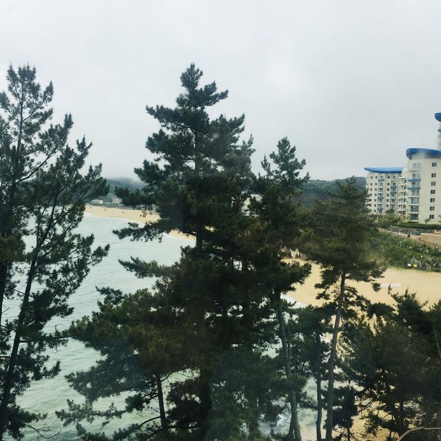 오션뷰가 완벽했던 삼척 쏠비치! #대명리조트 #쏠비치