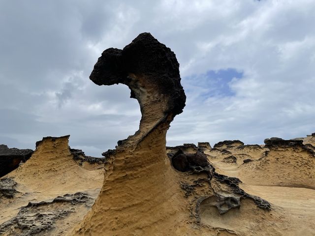 野柳地質公園 課本上的那顆女王頭呈現在面前 