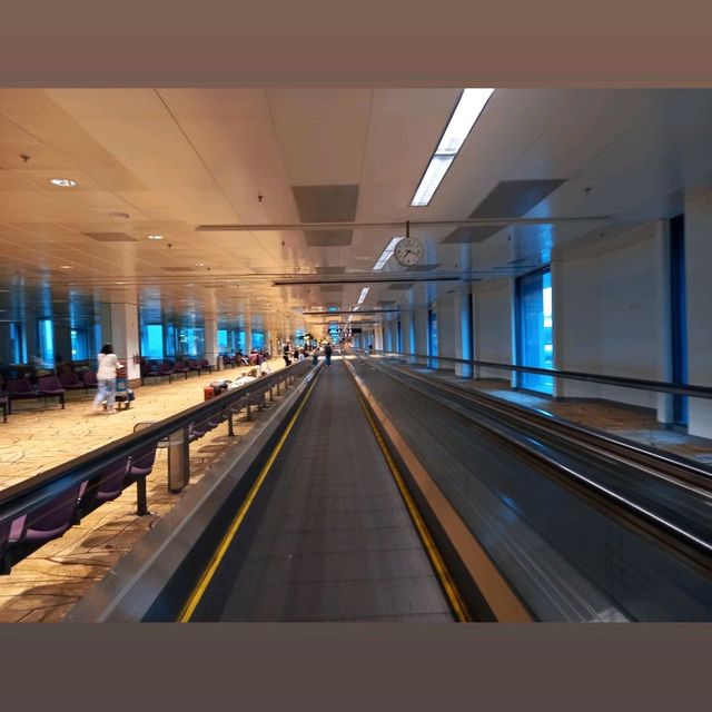 Finally Flying