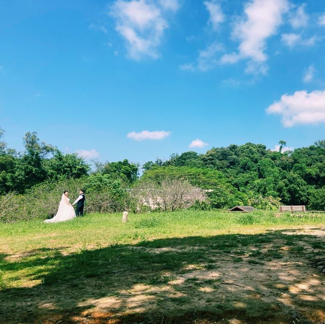 自然教育、野外研習、婚紗家庭攝影的好地點