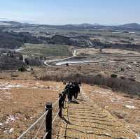 🗻 제주도 서쪽의 대표적인 오름, 새별오름