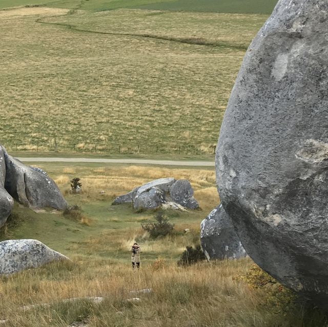 뉴질랜드 대자연이 빚어낸 캐슬힐 (나니아연대기, 반지의제왕 촬영지)🇳🇿✨