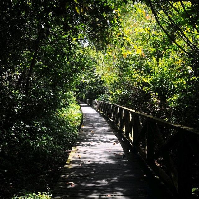 A CAVE EXPLORATION AT NIAH NATIONAL PARK