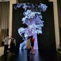 大館推出"森呼吸"展覽
