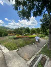 เช็คอินราชบุรี 🌿🍃