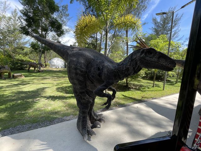 Real life Dinosaur in Labuan! 