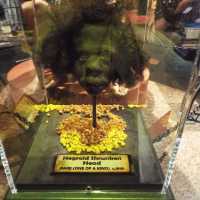 Surfers Paradise Ripleys Believe Or Not