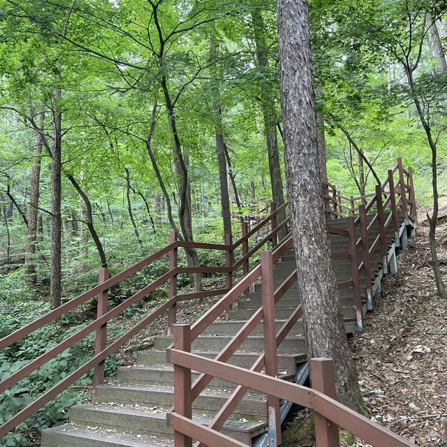 대전 여행 보문산