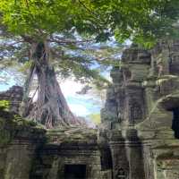 Ta Prohm Temple from Tomb Raider