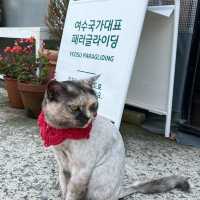 여수는 뭐다? 바다카페다 ! 