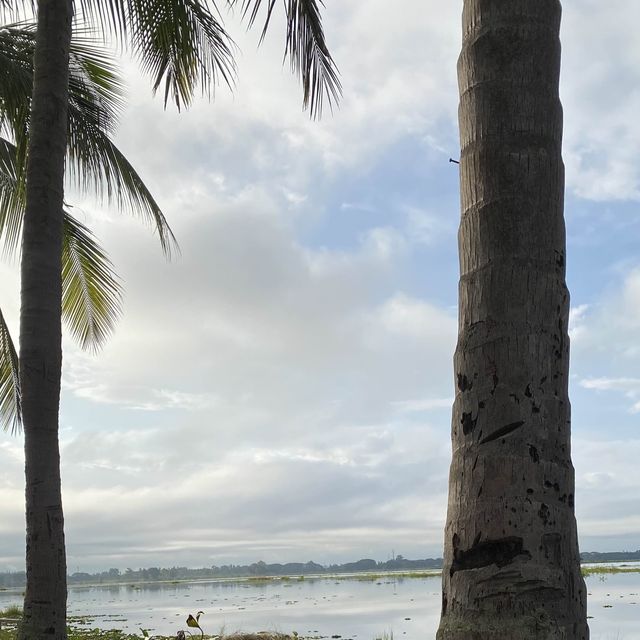 Phayao Lake กว๊านพะเยา