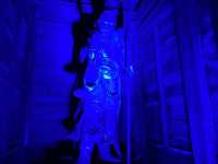 博多旧市街ライトアップウォーク2022「博多千年煌夜」『東長寺』