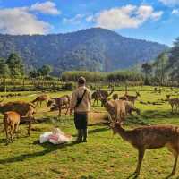 Kampung Cai Ranca Upas 