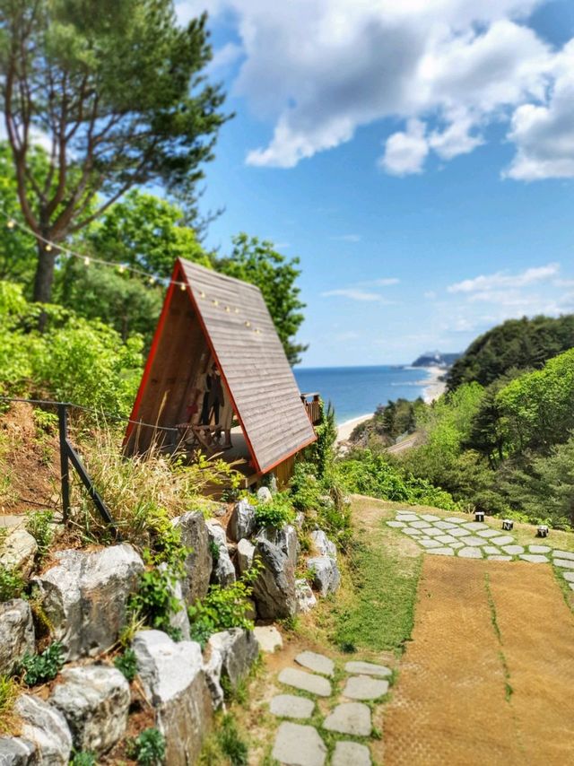 정동진카페 스테이인터뷰 강릉! 오두막 포토존이 핫해🏚