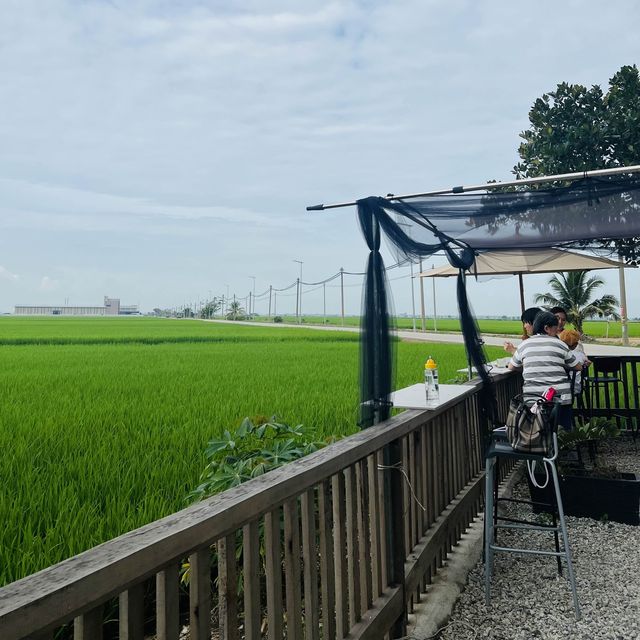 Mesmerising Cafe Paddy Field view Sekinchan