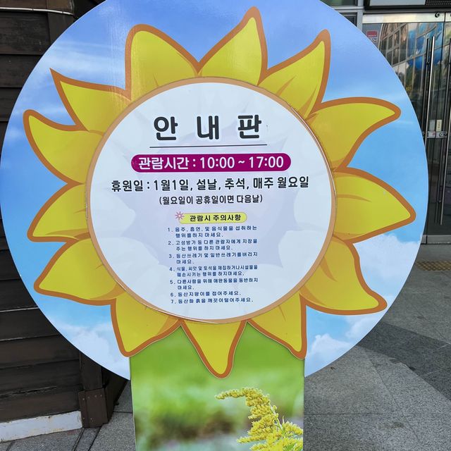 가야산 야생화 식물원에서 따뜻하게 꽃구경해요!
