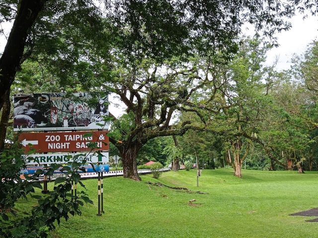 Taiping Zoo, Perak 🐾✨