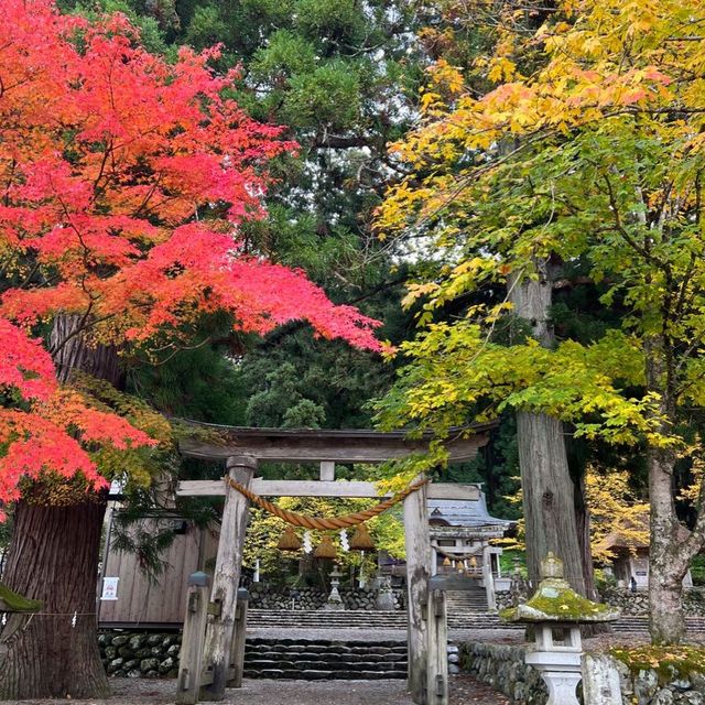 白川八幡神社 及 明善寺🍁🍁