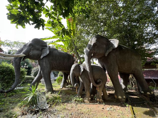 วัดพระธาตุสุโทนมงคลคีรี อ.เด่นชัย จ.แพร่