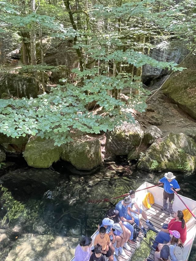 송어가 헤엄치는 호수에서 나룻배타기🚣‍♂️