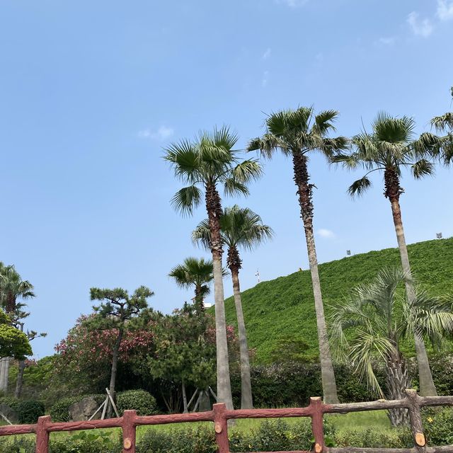 떠나요~제주도~푸른바다로~