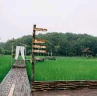 ไร่เกษมสุข Organic Farm