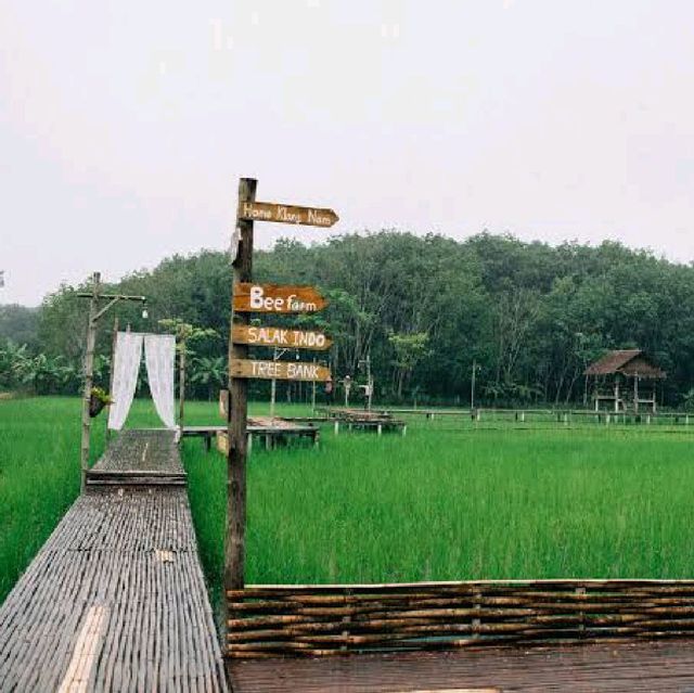 ไร่เกษมสุข Organic Farm