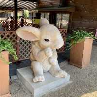 【石川】月うさぎの里