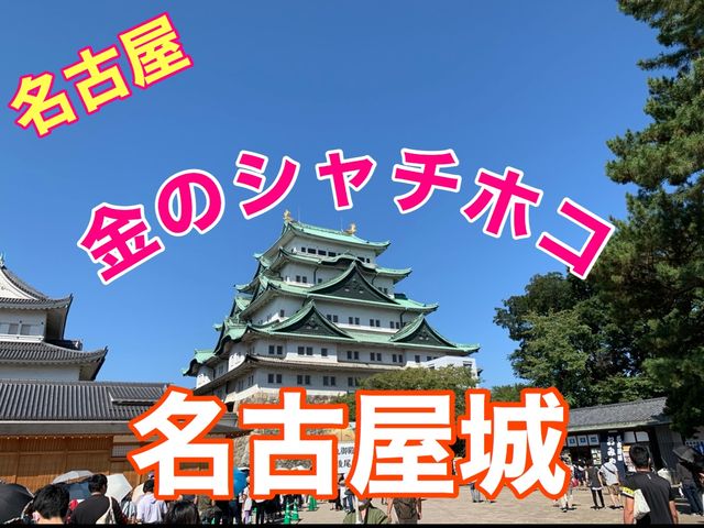 名古屋　金のシャチホコが凄い❗️名古屋城