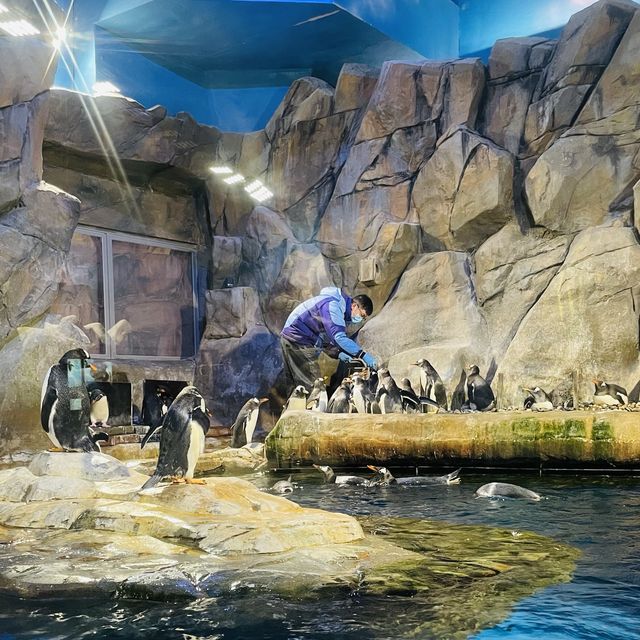 高質海洋公園平日遊