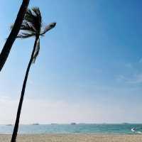 หาดพัทยา จังหวัดชลบุรี