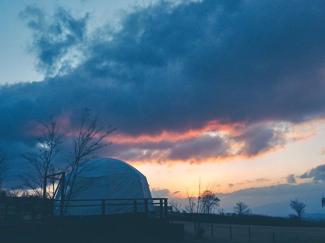 花と星空がきれいなくじゅう花公園でグランピング