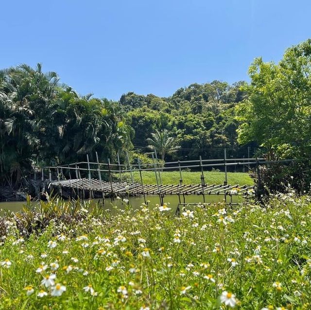 白石澳榕樹澳行山之旅😍體力考驗🤯