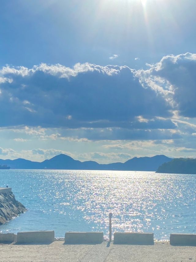경상남도 남해에서 뷰 좋은 카페를 찾는다면, 바다와 산을 동시에 볼 수 있는 남해당 커피 ☕️