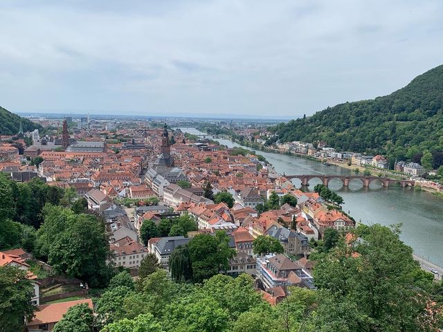 Schloss Heidelberg (Heidelberg Castle) 🏰 