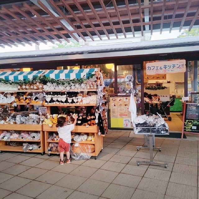 東側エントランス　グッズ＆カフェ　京都市動物園