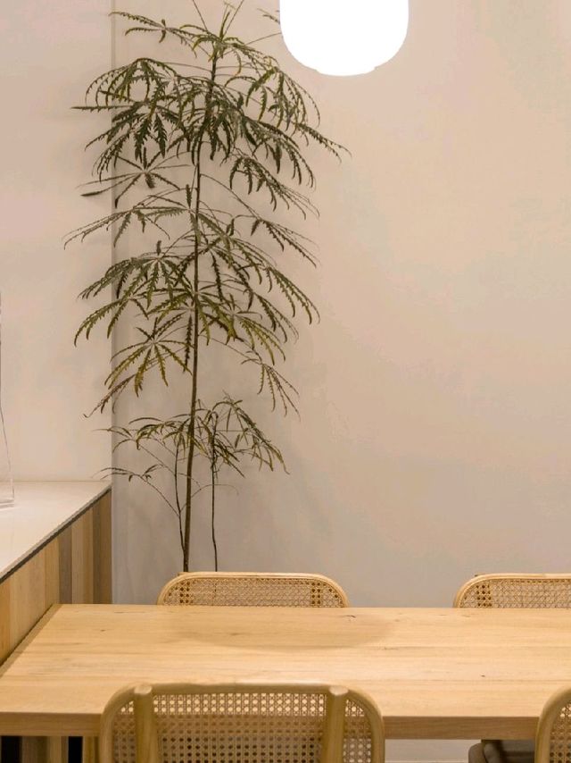시흥 능곡동 카페, 겨울달