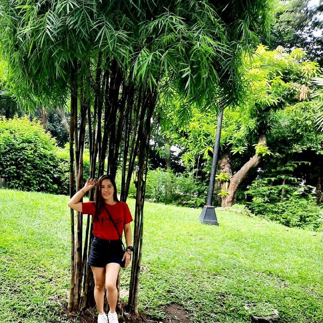 JAPANESE GARDEN @ LUNETA PARK, PHILIPPINES