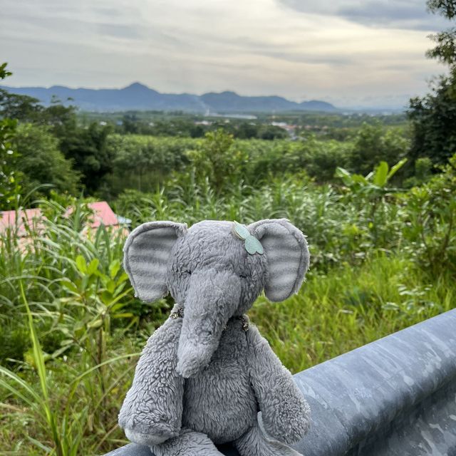 Miss Elly hanging out at Manik Dam Phuket.