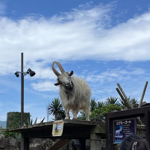 夏の週末旅✨静岡編