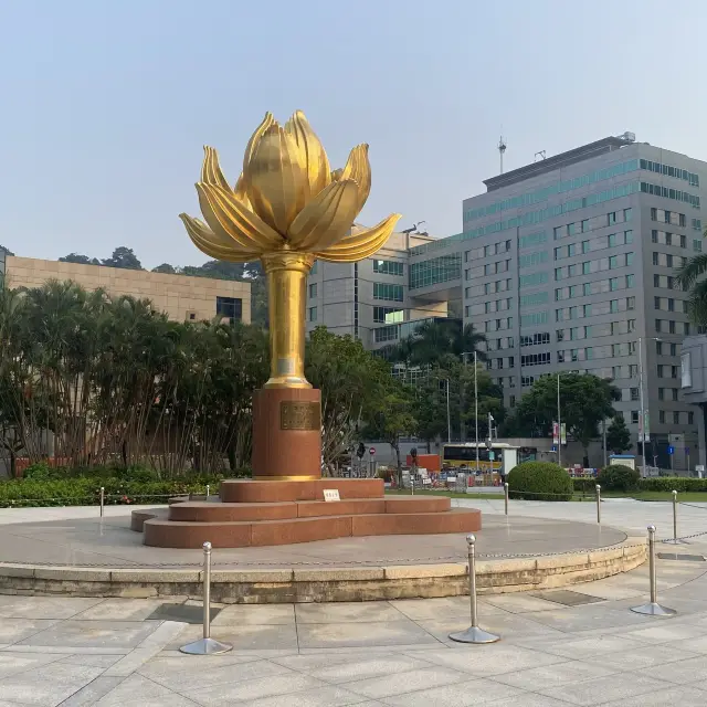 The Lotus Square or Golden Lotus Square