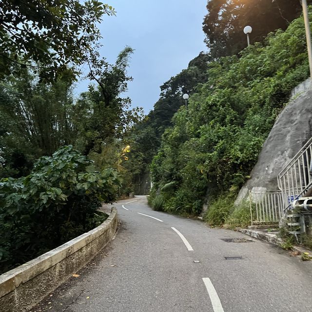 山頂 加列山道 緩跑徑 山頂 加列山道 緩跑徑