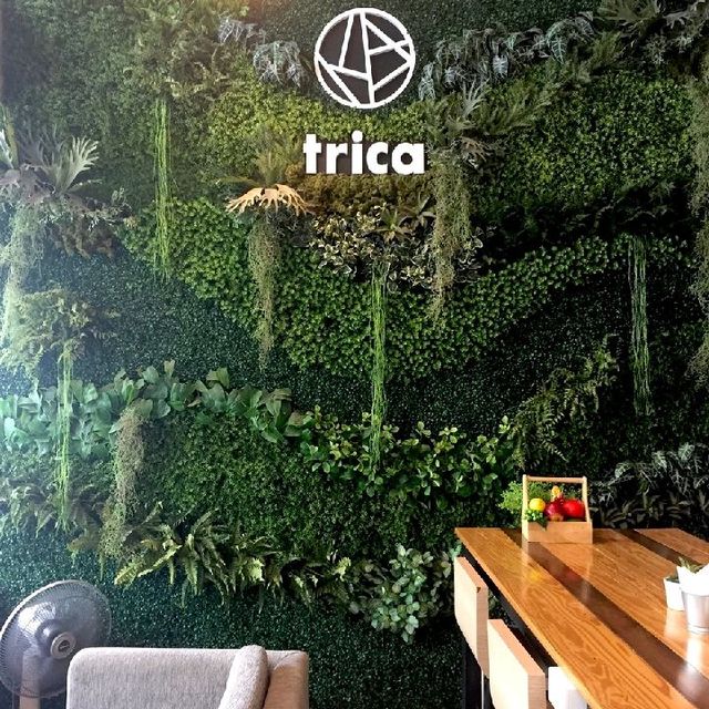 TRICA HOSTEL BAR AND CAFE