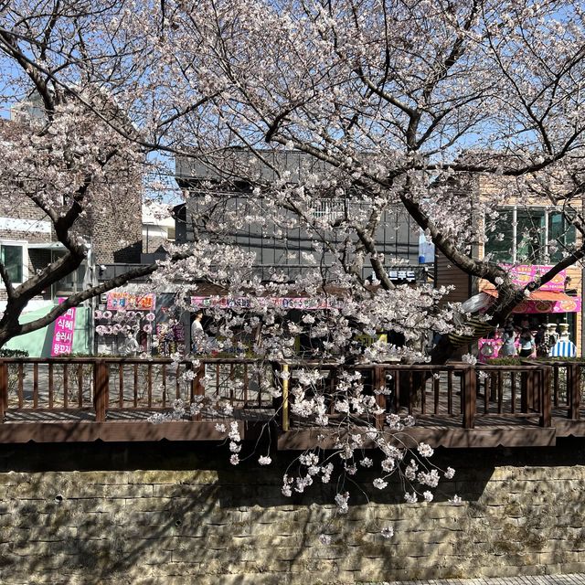 경남 벚꽃 명소, 진해 여좌천 로망스다리