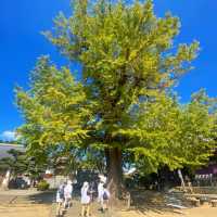 德島走進第5番札所 地藏寺