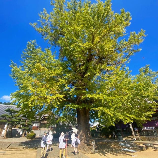 德島走進第5番札所 地藏寺
