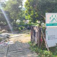 foreste cafe เชียงราย