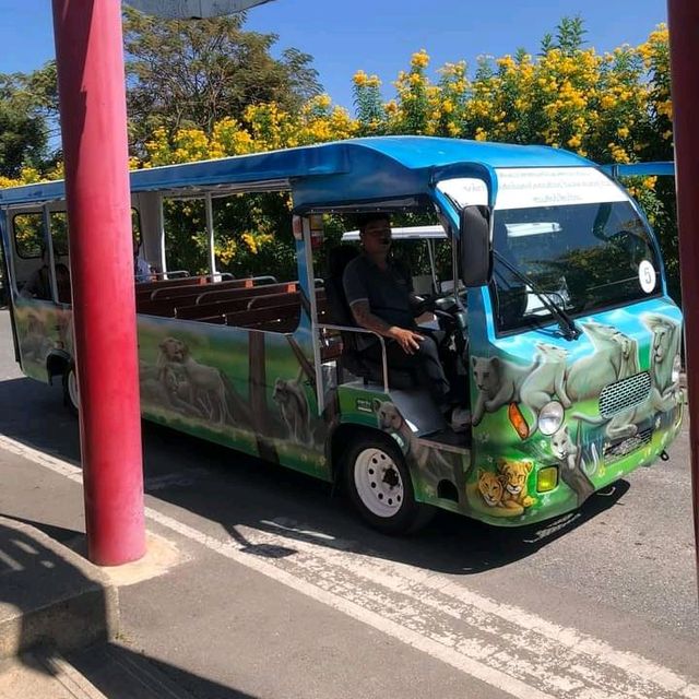 🦩🦘 Chiang Mai Zoo 🦥 🐘