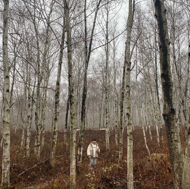BTS 숲🌲